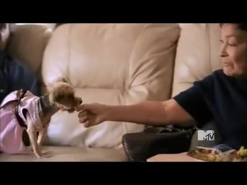 Demi Lovato - Stay Strong Premiere Documentary Full 26640 - Demi - Stay Strong Documentary Part o49