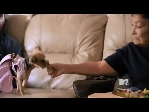 Demi Lovato - Stay Strong Premiere Documentary Full 26643