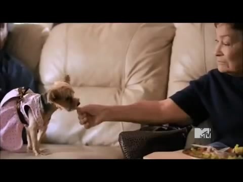 Demi Lovato - Stay Strong Premiere Documentary Full 26645 - Demi - Stay Strong Documentary Part o49