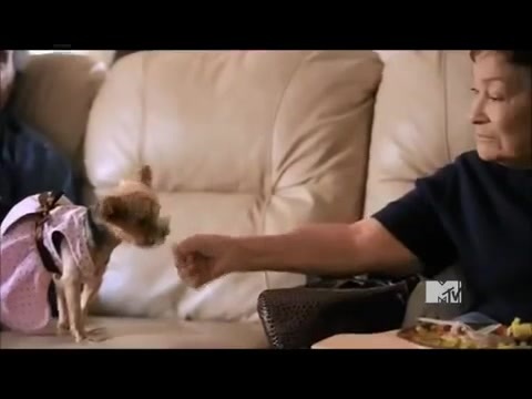 Demi Lovato - Stay Strong Premiere Documentary Full 26647