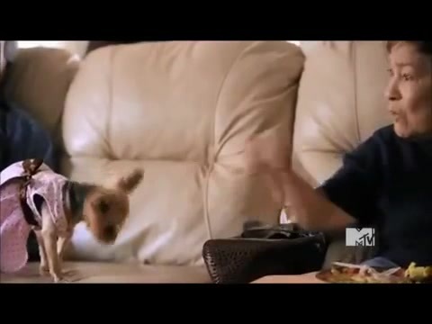 Demi Lovato - Stay Strong Premiere Documentary Full 26653 - Demi - Stay Strong Documentary Part o49