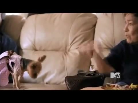 Demi Lovato - Stay Strong Premiere Documentary Full 26654 - Demi - Stay Strong Documentary Part o49