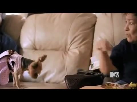Demi Lovato - Stay Strong Premiere Documentary Full 26655 - Demi - Stay Strong Documentary Part o49