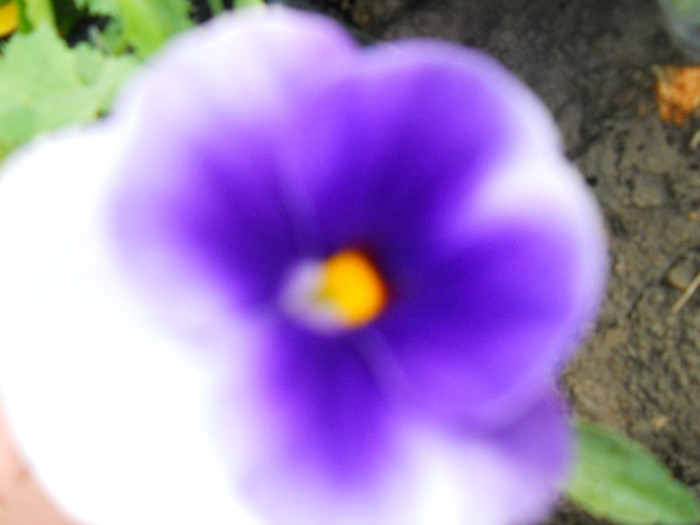 DSCN2534