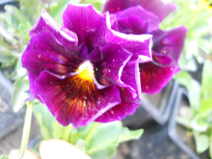 DSCN2537