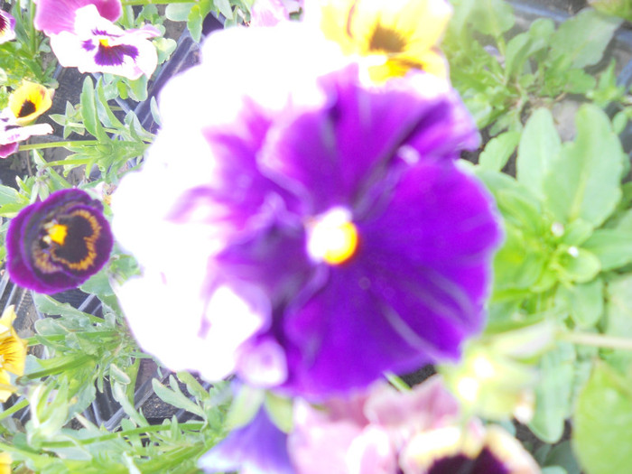 DSCN2547