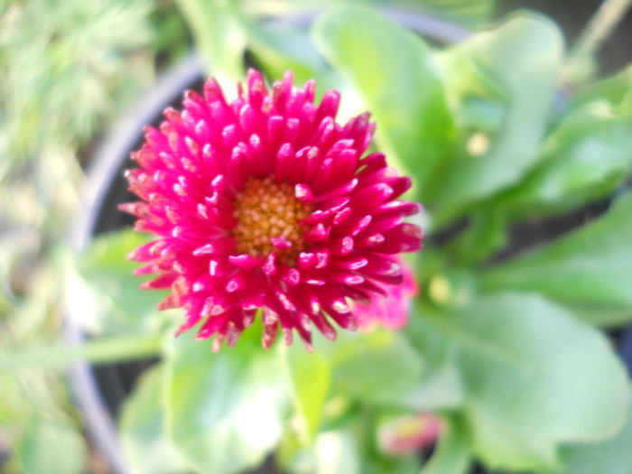 DSCN2550