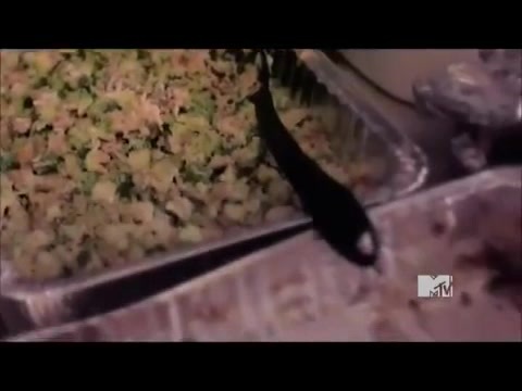 Demi Lovato - Stay Strong Premiere Documentary Full 27574