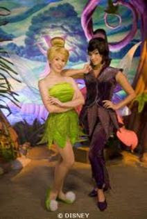 images (11) - pixie hollow