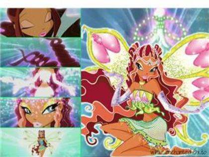 578699ENCHANTIX LAYLA - Winx 2 Enchantix