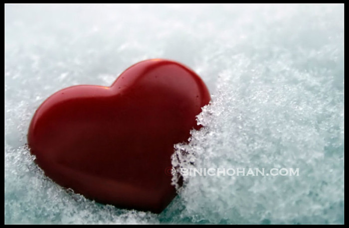 My_Cold_Heart_by_xxbcxx - love