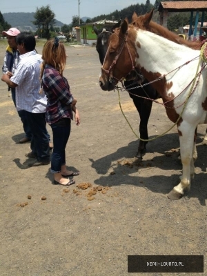  - ABC - Demi - Visiting Horses