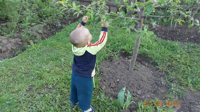 29 - MATEI in gradina