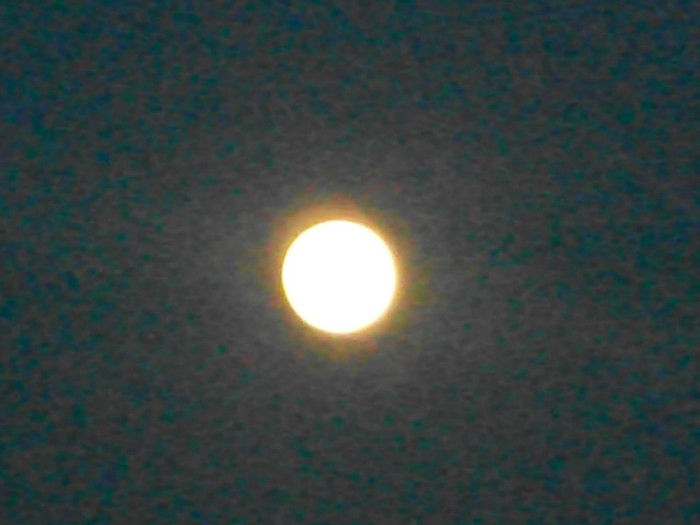 Picture 429 - superluna