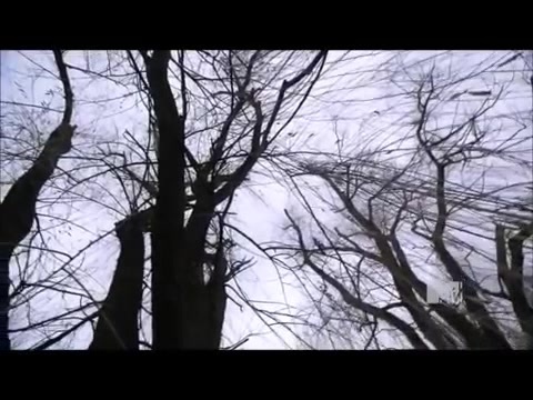 Demi Lovato - Stay Strong Premiere Documentary Full 36539