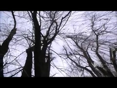 Demi Lovato - Stay Strong Premiere Documentary Full 36541