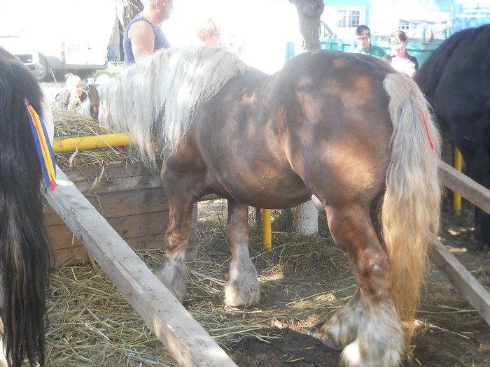 DSCN4099 - AGRARIA 2012 cluj