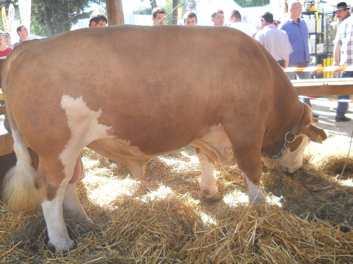 DSCN4103 - AGRARIA 2012 cluj