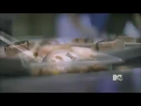 Demi Lovato - Stay Strong Premiere Documentary Full 36611 Demi Lovato - Stay Strong Premiere Documentary Full 36611