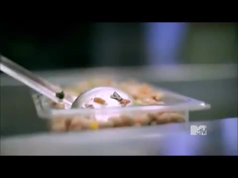 Demi Lovato - Stay Strong Premiere Documentary Full 36620 Demi Lovato - Stay Strong Premiere Documentary Full 36620