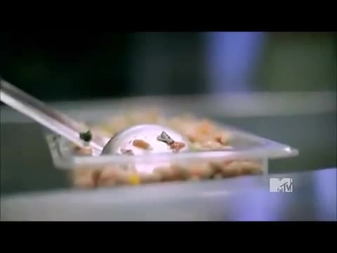 Demi Lovato - Stay Strong Premiere Documentary Full 36621 Demi Lovato - Stay Strong Premiere Documentary Full 36621