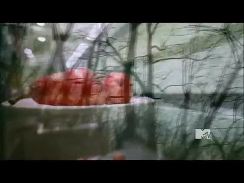 Demi Lovato - Stay Strong Premiere Documentary Full 36782