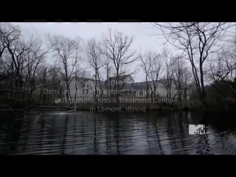 Demi Lovato - Stay Strong Premiere Documentary Full 37361