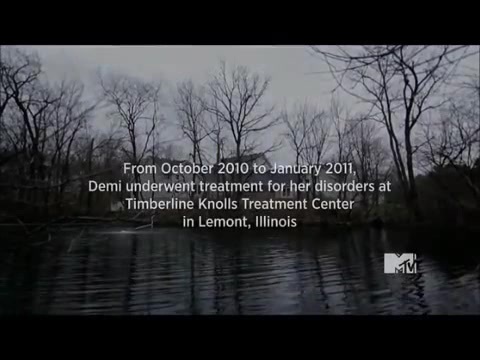 Demi Lovato - Stay Strong Premiere Documentary Full 37382