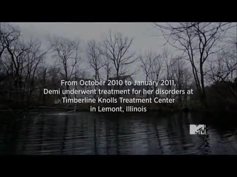 Demi Lovato - Stay Strong Premiere Documentary Full 37385