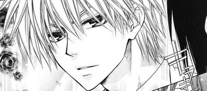 usui 85