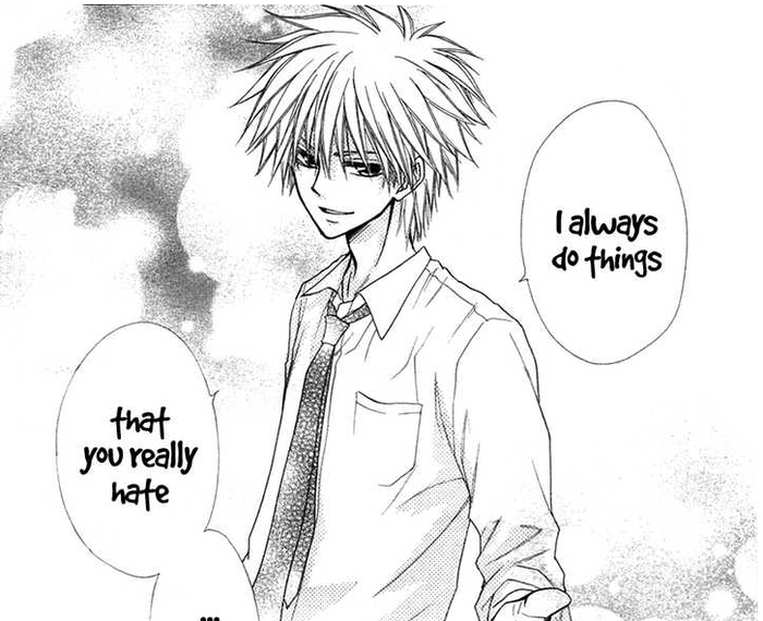 usui 95