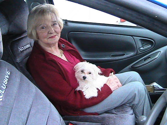 IN MASINA PE FERIBOT