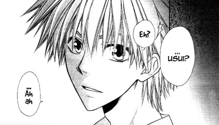 usui 105