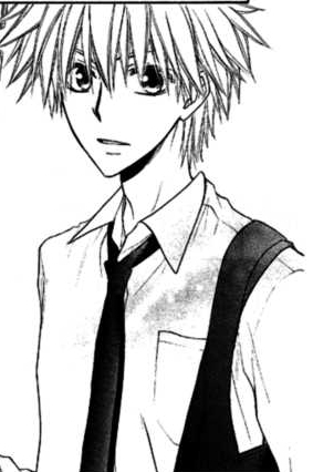 usui 106