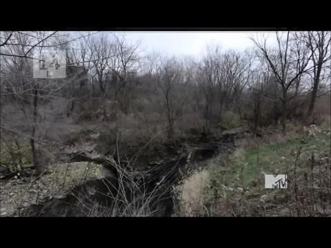 Demi Lovato - Stay Strong Premiere Documentary Full 40388