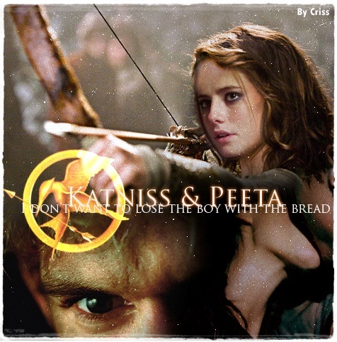 ♛ The Hunger Games ♛ - The Hunger Games