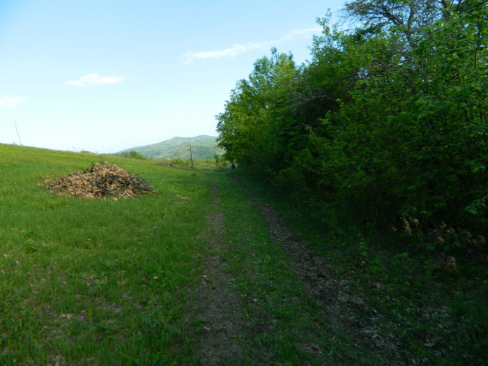 Picture 092