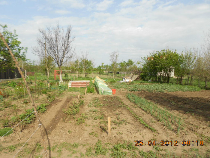 DSCN2258
