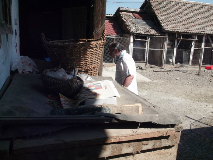 AICI CE MAI ARE MAI FRATE???