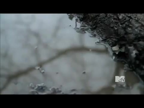 Demi Lovato - Stay Strong Premiere Documentary Full 41387