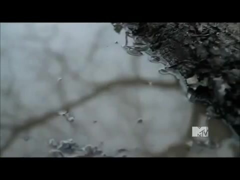 Demi Lovato - Stay Strong Premiere Documentary Full 41388