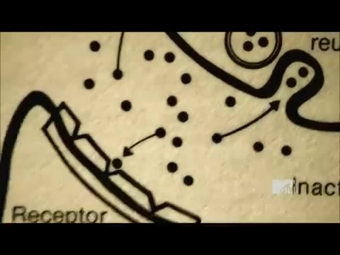 Demi Lovato - Stay Strong Premiere Documentary Full 42054 - Demi - Stay Strong Documentary Part o80