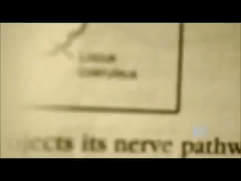 Demi Lovato - Stay Strong Premiere Documentary Full 42067 - Demi - Stay Strong Documentary Part o80