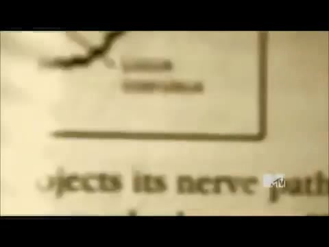 Demi Lovato - Stay Strong Premiere Documentary Full 42076 - Demi - Stay Strong Documentary Part o80