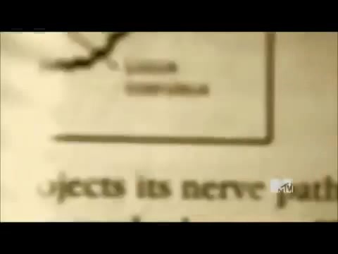 Demi Lovato - Stay Strong Premiere Documentary Full 42077 - Demi - Stay Strong Documentary Part o80