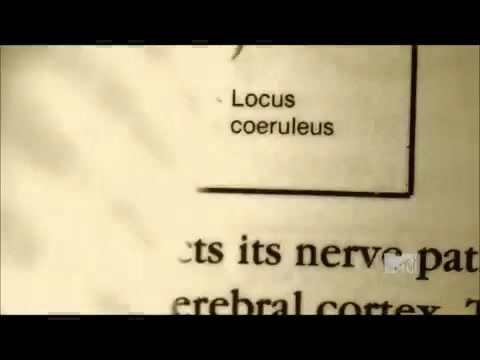 Demi Lovato - Stay Strong Premiere Documentary Full 42080 Demi Lovato - Stay Strong Premiere Documentary Full 42080