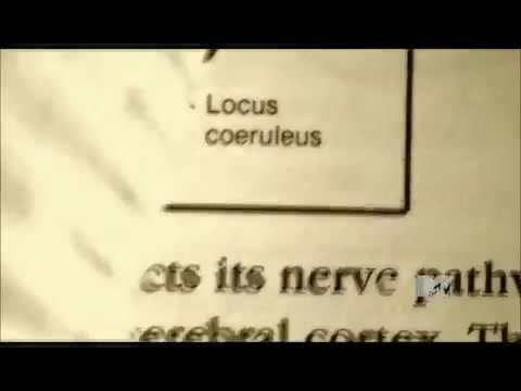 Demi Lovato - Stay Strong Premiere Documentary Full 42085 - Demi - Stay Strong Documentary Part o80
