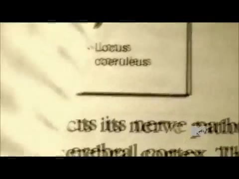 Demi Lovato - Stay Strong Premiere Documentary Full 42086 - Demi - Stay Strong Documentary Part o80