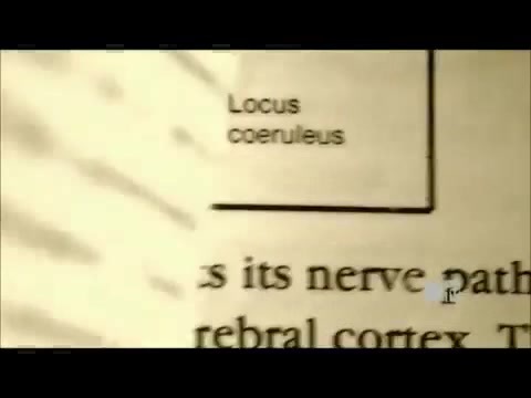 Demi Lovato - Stay Strong Premiere Documentary Full 42087 - Demi - Stay Strong Documentary Part o80