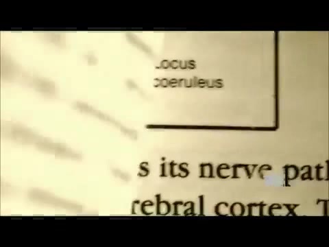Demi Lovato - Stay Strong Premiere Documentary Full 42088 - Demi - Stay Strong Documentary Part o80
